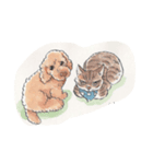 モカ（個別スタンプ：8）