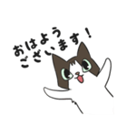 にゃんちぃスタンプ（個別スタンプ：1）
