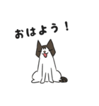 にゃんちぃスタンプ（個別スタンプ：2）