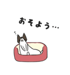 にゃんちぃスタンプ（個別スタンプ：3）