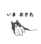 にゃんちぃスタンプ（個別スタンプ：8）
