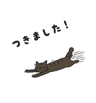 にゃんちぃスタンプ（個別スタンプ：10）