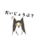 にゃんちぃスタンプ（個別スタンプ：14）