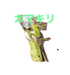 すーさんすーさん（個別スタンプ：2）