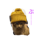 すーさんすーさん（個別スタンプ：6）