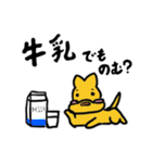 かんがるーさん（個別スタンプ：16）
