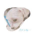 みるくの日常（個別スタンプ：2）