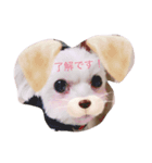 みるくの日常（個別スタンプ：4）