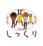 ギョザッザー セカンド（個別スタンプ：2）