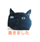 じじとばば1（個別スタンプ：2）