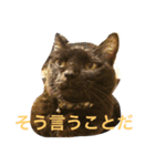 じじとばば1（個別スタンプ：5）