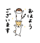 つんの日常スタンプ（個別スタンプ：5）