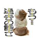 語るアイスクリーム01（個別スタンプ：16）