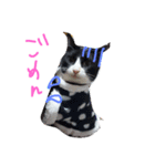 かわいい仲間たち（個別スタンプ：3）