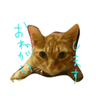 かわいい仲間たち（個別スタンプ：4）