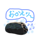 ミニチュアシュナウザーのピノとエル（個別スタンプ：27）