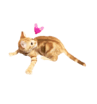 ねこのいるせいかつ2（個別スタンプ：7）