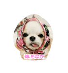もなベキ姉妹。（個別スタンプ：1）