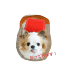 もなベキ姉妹。（個別スタンプ：3）