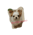 もなベキ姉妹。（個別スタンプ：4）