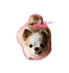 もなベキ姉妹。（個別スタンプ：10）