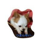 もなベキ姉妹。（個別スタンプ：11）