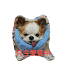 もなベキ姉妹。（個別スタンプ：12）