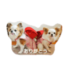 もなベキ姉妹。（個別スタンプ：16）