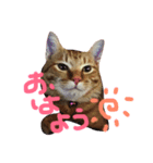 かずちゃんち（個別スタンプ：1）