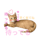 かずちゃんち（個別スタンプ：6）