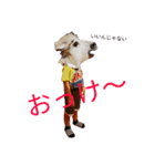 サイキョウダイ++（個別スタンプ：1）