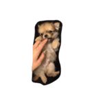 コタロウ♡（個別スタンプ：14）
