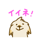 ポポロの日常（個別スタンプ：5）