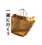 茶トラ猫ガットくん（個別スタンプ：4）