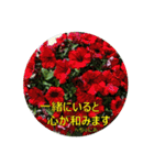 花言葉的なスタンプ【夏の花】（個別スタンプ：10）