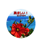 花言葉的なスタンプ【夏の花】（個別スタンプ：28）