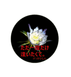 花言葉的なスタンプ【夏の花】（個別スタンプ：29）
