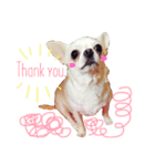 あまえんぼまろん（個別スタンプ：11）