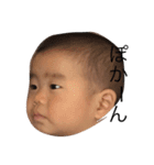babyしゃちょー（個別スタンプ：3）