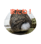 うさぎのつきみ（個別スタンプ：3）
