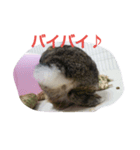 うさぎのつきみ（個別スタンプ：7）