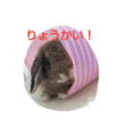 うさぎのつきみ（個別スタンプ：8）