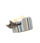 キジトラなっちゃん（個別スタンプ：2）