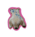 ひめこ 2（個別スタンプ：11）