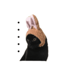 黒猫くまごろう（個別スタンプ：2）