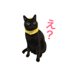 黒猫くまごろう（個別スタンプ：4）
