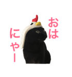 黒猫くまごろう（個別スタンプ：5）