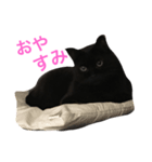 黒猫くまごろう（個別スタンプ：6）