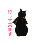 黒猫くまごろう（個別スタンプ：8）