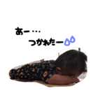 Shuto.o2.（個別スタンプ：18）